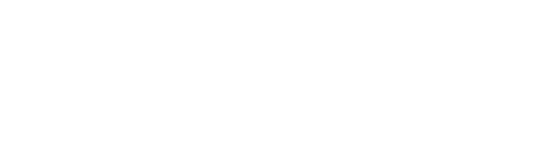 Máximo Ecom